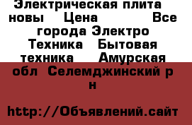 Электрическая плита,  новы  › Цена ­ 4 000 - Все города Электро-Техника » Бытовая техника   . Амурская обл.,Селемджинский р-н